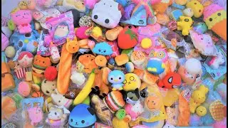 2020 SQUISHY COLLECTION Kittycatloom