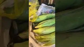 FRESH CORN !! ITS READY !! LOVE IT !!