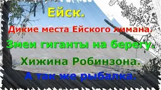 ЕЙСК. Дикие места Ейского лимана. Змеи гиганты на берегу. Хижина Робинзона. А так же рыбалка. 17 ГБ.