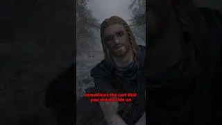 The Bee That BROKE Skyrim