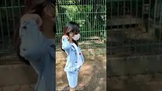 Di Jakarta ada Taman Wisata Alam Mangrove? Full video ada di beranda!