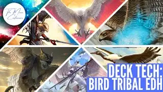 Kangee, Aerie Keeper Commander/ EDH Deck Tech- Tribal Birds for MTG