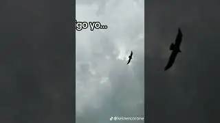 no lo dije yo... lo dijo la biblia