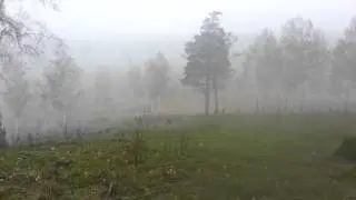 Май в Кемеровской области