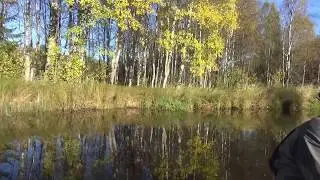 Прощание с летом