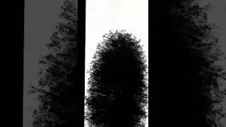 я не знаю что писать #music #shorts #tiktok