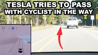 Tesla Full Self Driving Beta Crosswalk Close Call!