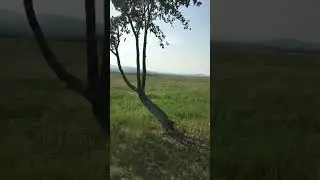 #Природа