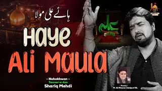 21 Ramzan Nauha Shahadat-e Imam Ali a.s 2024 || Shariq Mehdi || 