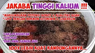 JAKABA TINGGI KALIUM | MAKSIMALKAN BOBOT DAN KUALITAS BUAH