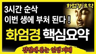 듣기만 해라! 이번 생에 부처가 된다 (화엄경 3시간요약) | 불교명언 | Meditation Mindfulness Buddha