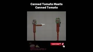 Canned Tomato meets Canned Tomato! #shorts #trending #viral #melonplayground