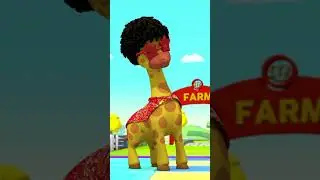 Animal Song 