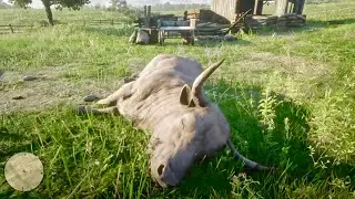 Messing with a BULL in RDR2