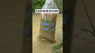 Best Way to Clean Mudwater!