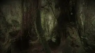 Magical Forest - Ambient Guitar only - original composition