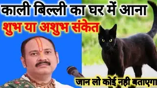 काली बिल्ली के संकेत subh ashubh sanket काली बिल्ली का घर में आना संकेत,बिल्ली बना देगा करोड़पती।