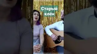 Старый клён