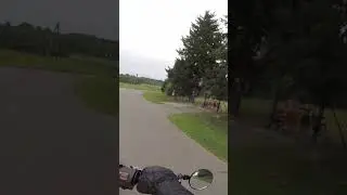 Taka przygazówka dla dzieci 😉. #moto #motocycle #motocyklista🏍 #motos