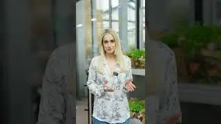 Kräuter für deinen Balkon! Mit 
