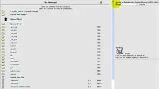 10) How to use file manager in cPanel ?