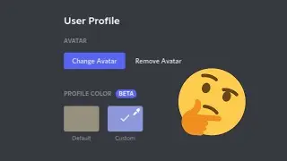 *New* Discord Feature | Profile Color | 2021