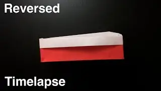 Traditional Origami Box With Edge Reversed Timelapse! #shorts