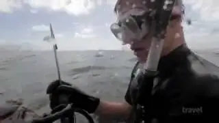 The Wild Within: Octo Hunt