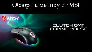 Обзор на игровую мышку среднего сегмента MSI GM-11 clutch. Сенсор PWM-3325 в 2021 году!