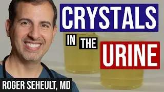 Review of Crystals Found in the Urine for Kidney Stones
