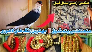 خیل فروشی کوچه کاه فروشی|بهترین زنگ لاهوری رااز کجا بخریم|عنعنات دیرینه شوقی های افغانستان|Assmyee
