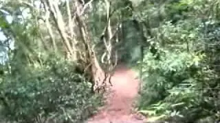 Mount Warning Part 1