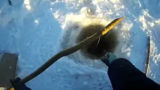 Проверка крючков на налима 25 11 2023