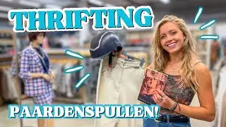 Welke paardenspullen vind je in kringloopwinkels? 🛍