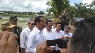 KUNJUNGAN PRESIDEN JOKOWI DI DESA BAPEANG - SAMPIT KALTENG