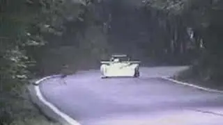 Deer VS Race Car
