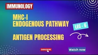 MHC-I processing| Endogenous pathway of antigen processing | Lecture - 6| Immunology #csirnet