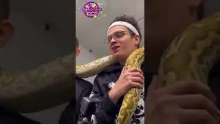 Литвину ПОЛОЖИЛИ НА ШЕЮ ЗМЕЮ!