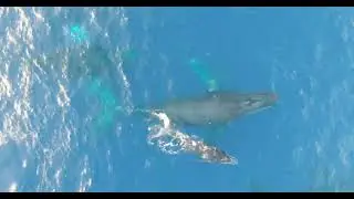 Flying Over HAWAII 4K / 1+ Hour of Ambient Music & Original 4K Drone footage. Oahu, Maui, & Kauai.