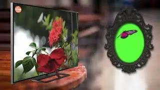 Magical 3D Green Screen Pop-out TV | Happy Valentine's Day 2019