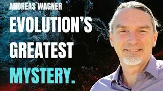 How Evolution Innovates by Exploring Genotype Space | Andreas Wagner