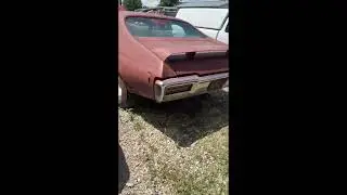 1968 GTO cold start, idle and little revs