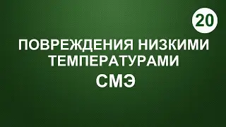20. Повреждения низкими температурами. СМЭ