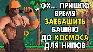 МГЕ братья в террарии 3