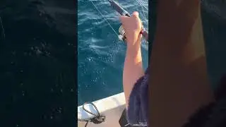 ジギング #福丸 #fishing