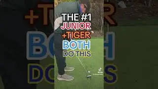 The #1 Junior + Tiger Woods Have This In Common