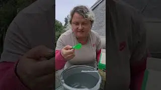 Чем подкормить томаты и огурцы в ИЮЛЕ и Августе