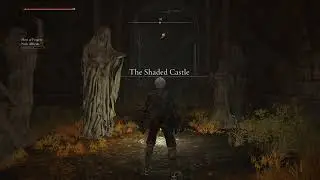 [Full Stream] Elden Ring Seamless Co-op Randomizer [Part 19]