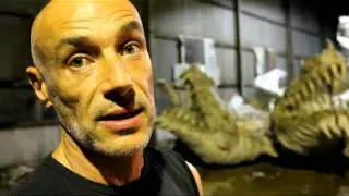 Fabián Nardini: Carrocero de Ráfaga - Carnaval 2013