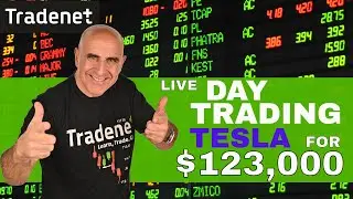 DAY TRADING TESLA FOR $123,000!!